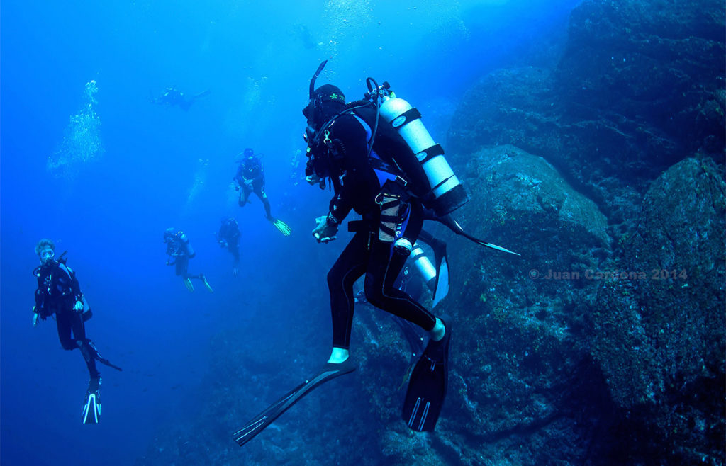 cancun scuba diving padi cours