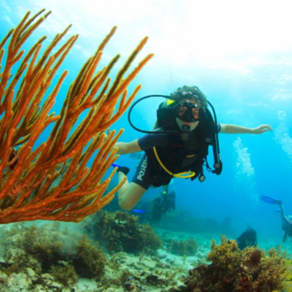 squalo divers cancun