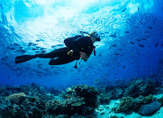 Squalo divers cancun trips to cancun mexico all inclusive