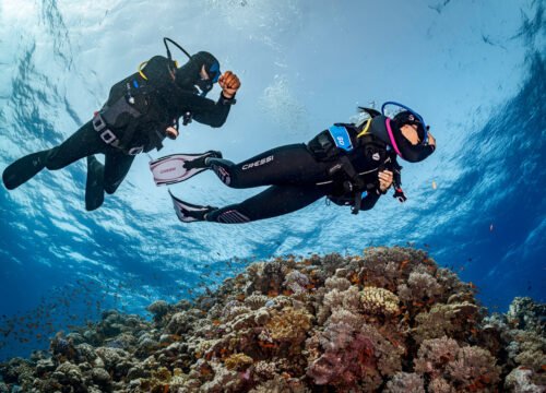 PADI Adventures In Dicing