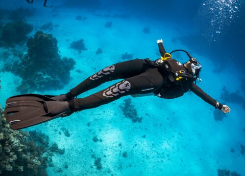 PADI Adventures In Dicing