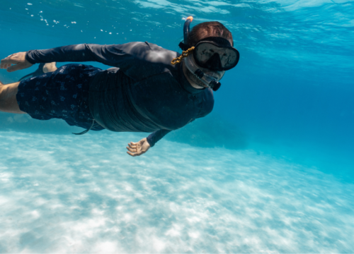 Tour Reef snorkel trip