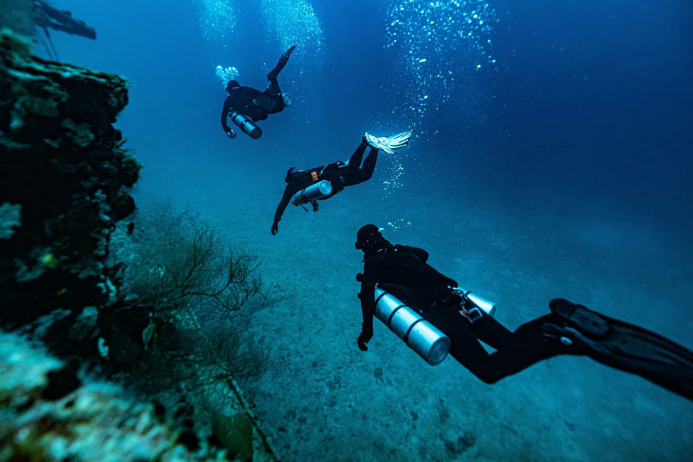 PADI Specialty Whale Shark