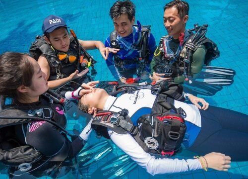 Padi Rescue program