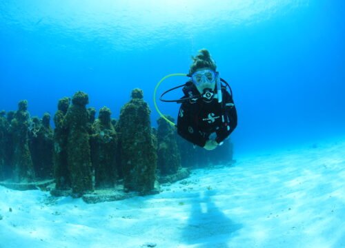 PADI Divemaster Course Mexico