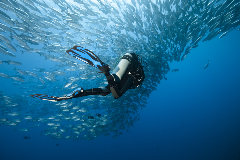 Open Water Diver