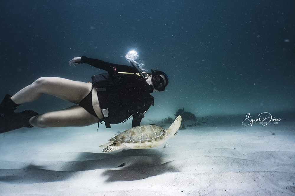 2 Tank Dive Experience in Cancun & Riviera Maya