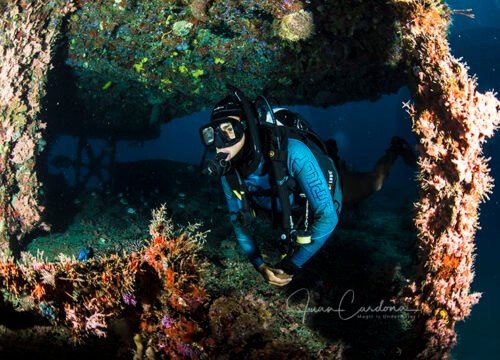 Explore the Best Shipwrecks in the Mexican Caribbean with Squalo Divers