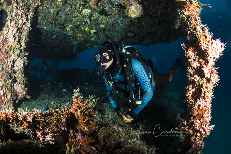 Explore the Best Shipwrecks in the Mexican Caribbean with Squalo Divers