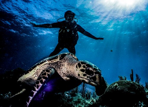padi referral