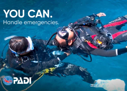 PADI Rescue programs cancun