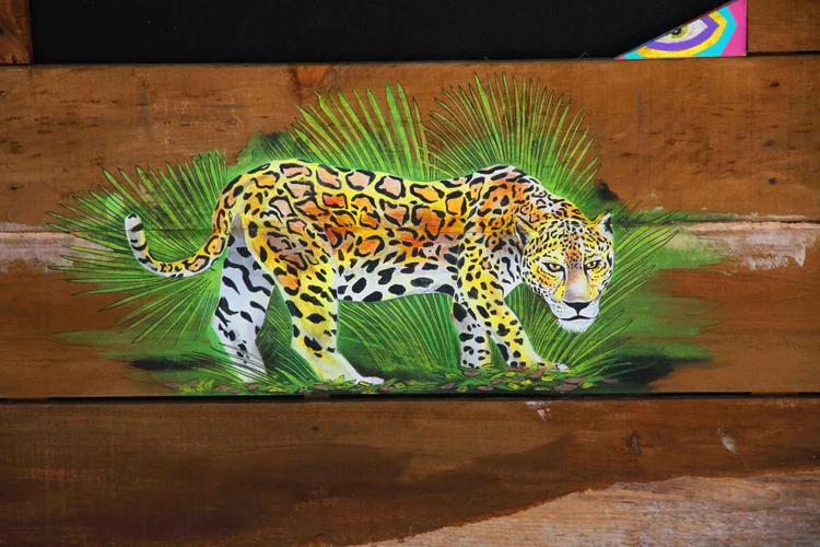 Art wall and decorations at Squalo Beach Club